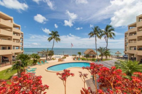 Palms 313